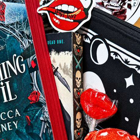 Special Edition Dark Romance Book Box - Sprayed Edges - Choose Your Theme - Dark Romance Crates